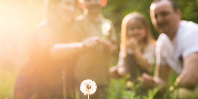 anne baba hakkına dair