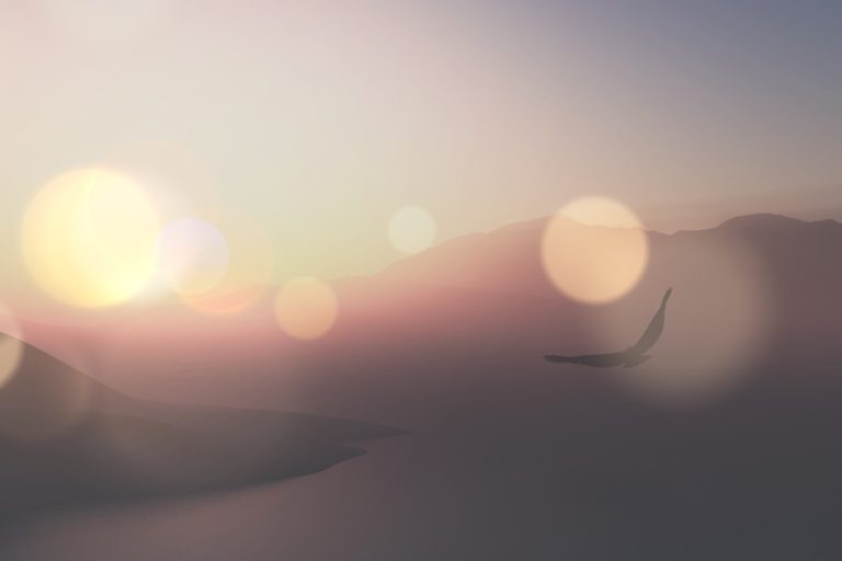 görmek özgürleşmektir